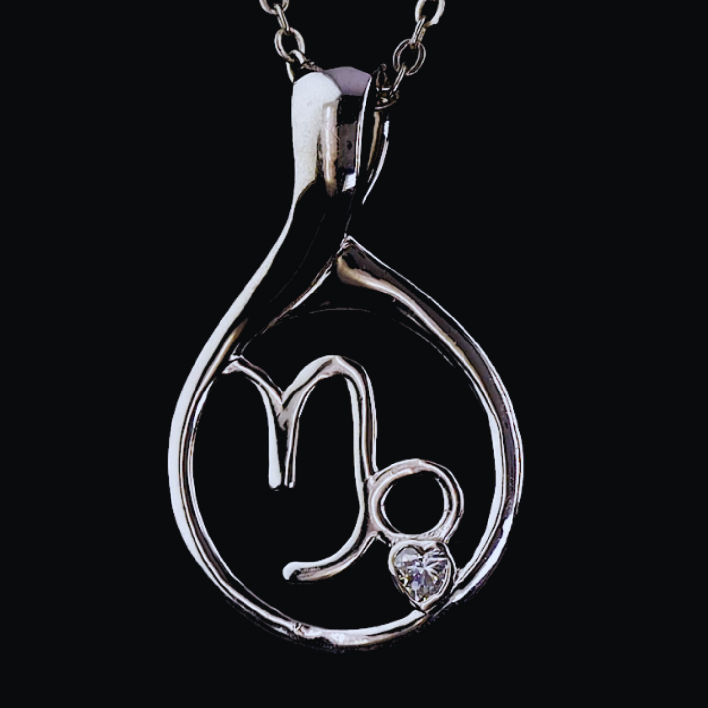 Zodiac Locket- Capricorn
