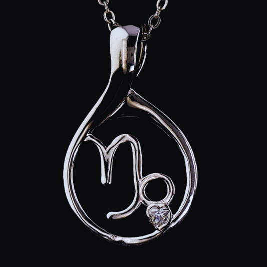Zodiac Locket- Capricorn
