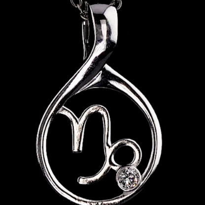 Zodiac Locket- Capricorn