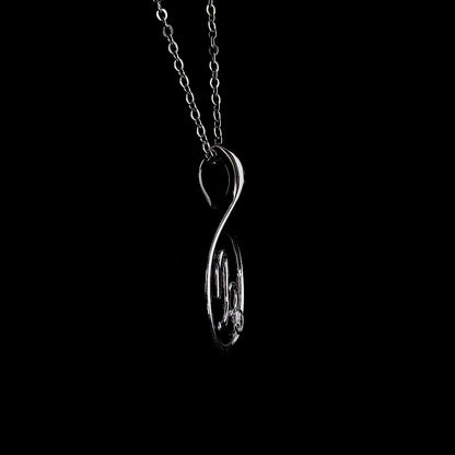 Zodiac Locket- Capricorn